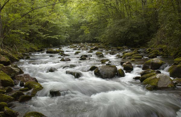 stream