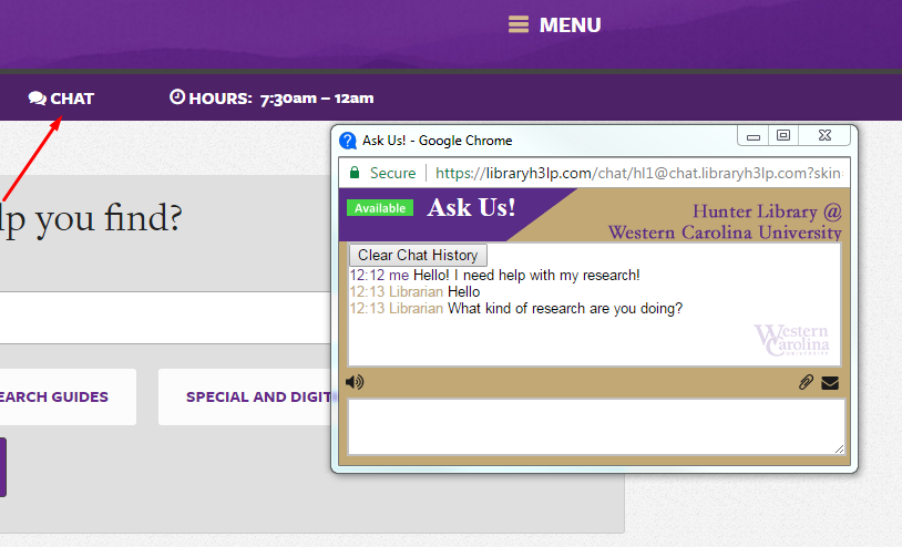 Screenshot of Library Chat