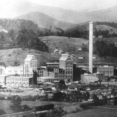 Digital Collection Feature: Canton Champion Fibre Company