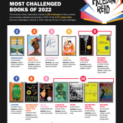 Chart of top 13 most challenge books of 2022: Gender Queer, All Boys Aren't Blue, The Bluest Eye, Flamer, Looking for Alaska, Perks of Being a Wallflower, Lawn Boy, The Absolutely True Diary of a Part-time Indian, Out of Darkness, A Court of Mist and Fury, Crank, Me and Earl And the Dying Girl, and This Book is Gay.